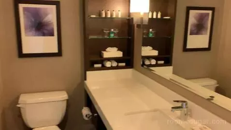 Deluxe King Room with Water View (#640) bathroom picture #1