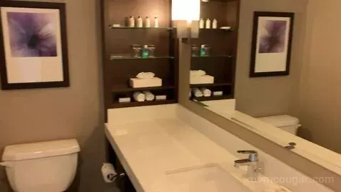Deluxe King Room with Water View (#640) bathroom picture #2
