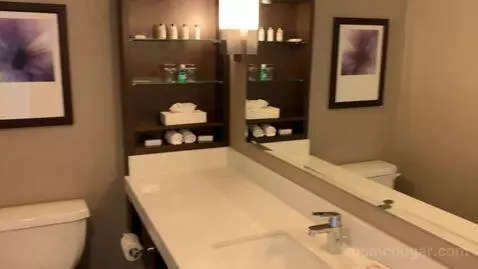 Deluxe King Room with Water View (#640) bathroom picture #3