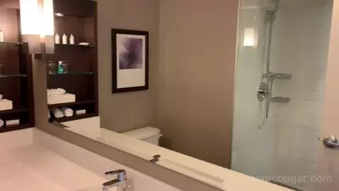 Deluxe King Room with Water View (#640) bathroom picture #6