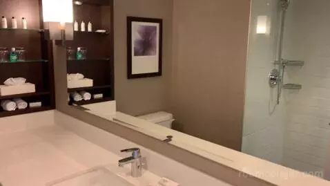 Deluxe King Room with Water View (#640) bathroom picture #8