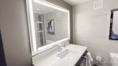Valley Tower Deluxe Room, 1 King, Non-Smoking, Accessible (#12041) bathroom picture #2