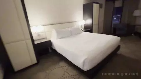 Valley Tower Deluxe Room, 1 King, Non-Smoking, Accessible (#12041) bed picture #4