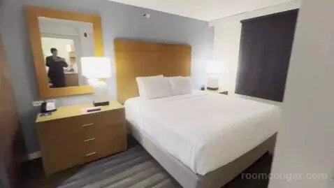 One Bedroom King Suite (#220) bed picture #1