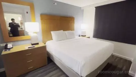 One Bedroom King Suite (#220) bed picture #3