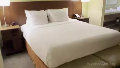 Premium King Suite with Sofa Bed (#167) bed picture #6