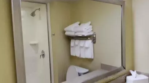 Premium King Suite with Sofa Bed (#167) bathroom picture #3