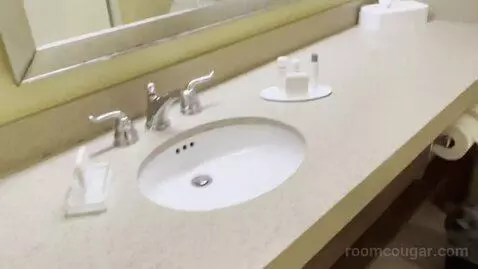 Premium King Suite with Sofa Bed (#167) bathroom picture #5