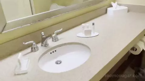 Premium King Suite with Sofa Bed (#167) bathroom picture #6