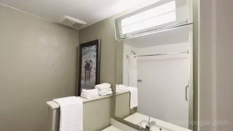 King Room (#202) bathroom picture #3