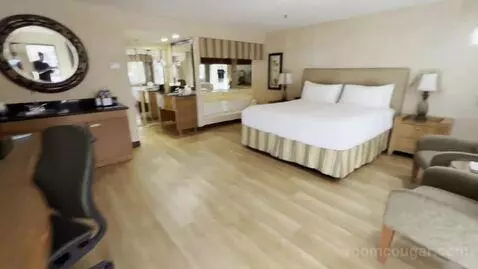 King Room with Hot Tub (A209) bed picture #2