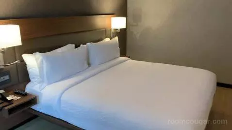 1 Bedroom Suite, 1 King, Sofa Bed (#1010) bed picture #7