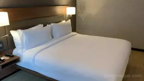 1 Bedroom Suite, 1 King, Sofa Bed (#1010) bed picture #8