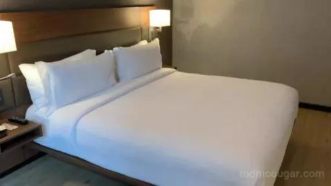 1 Bedroom Suite, 1 King, Sofa Bed (#1010) bed picture #9