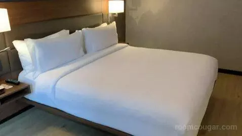 1 Bedroom Suite, 1 King, Sofa Bed (#1010) bed picture #10
