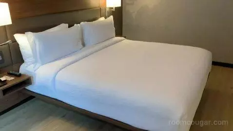 1 Bedroom Suite, 1 King, Sofa Bed (#1010) bed picture #11