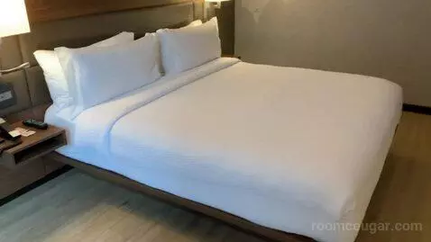 1 Bedroom Suite, 1 King, Sofa Bed (#1010) bed picture #12