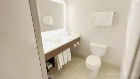 King Suite (#137) bathroom picture #1