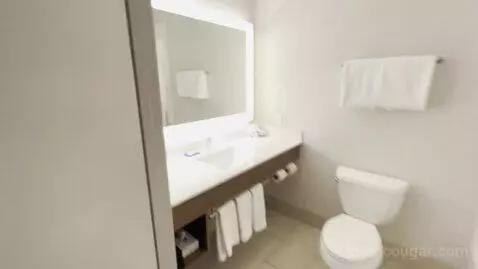 King Suite (#137) bathroom picture #2