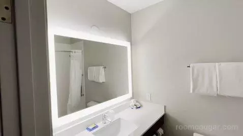 King Suite (#137) bathroom picture #3
