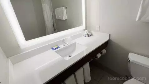 King Suite (#137) bathroom picture #6