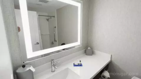 King Room (#328) bathroom picture #9