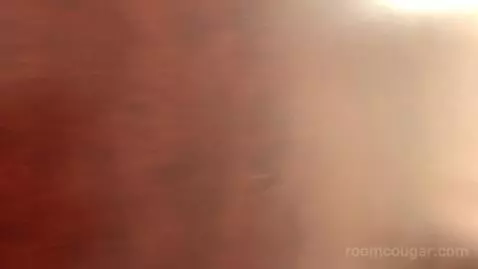 Standard King Room (#236) picture #2