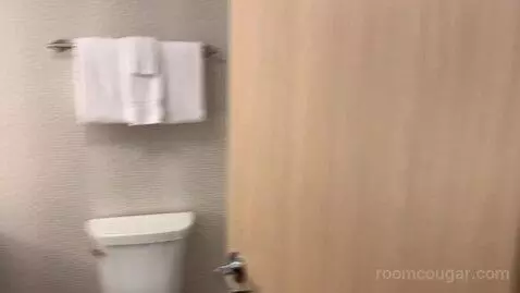 Standard King Room (#236) bathroom picture #1