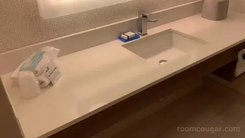 Standard King Room (#236) bathroom picture #3