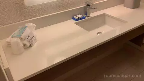 Standard King Room (#236) bathroom picture #4