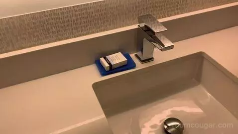 Standard King Room (#236) bathroom picture #5