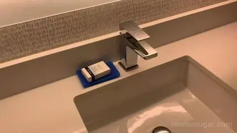 Standard King Room (#236) bathroom picture #6