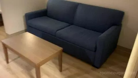 Standard King Room (#236) picture #8