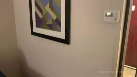 Standard King Room (#236) picture #9