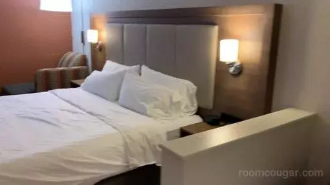 Standard King Room (#236) bed picture #3