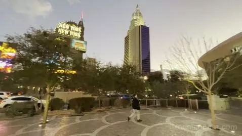 Park Mgm Two Queen Stay Well view picture #4