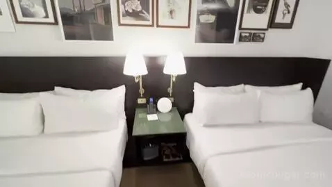 Park Mgm Two Queen Stay Well bed picture #4