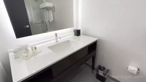 Queen Room with Two Queen Beds (#309) bathroom picture #1