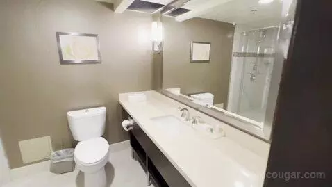 King Room (#734) bathroom picture #2