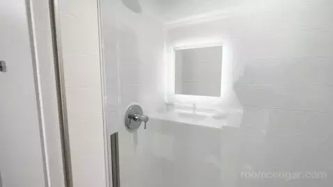 Deluxe King Room (#215) bathroom picture #7
