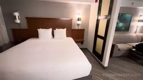 King Room with Sofa Bed (#502) picture #14