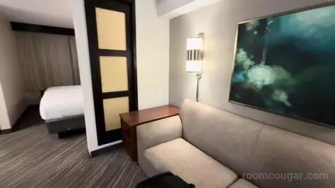 King Room with Sofa Bed (#502) bed picture #1