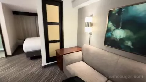King Room with Sofa Bed (#502) bed picture #2