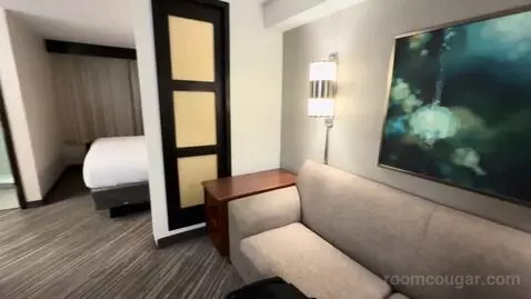 King Room with Sofa Bed (#502) picture #3