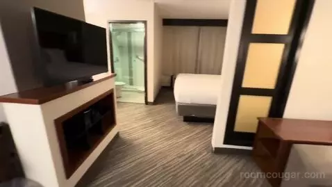 King Room with Sofa Bed (#502) picture #6