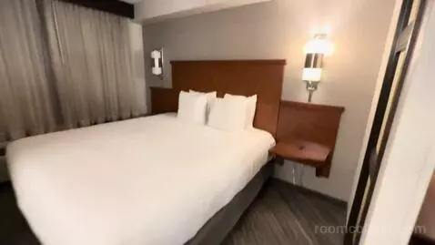 King Room with Sofa Bed (#502) picture #7