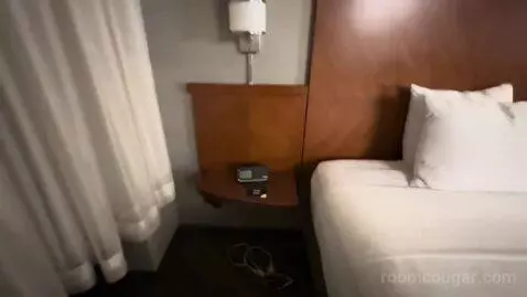 King Room with Sofa Bed (#502) picture #9