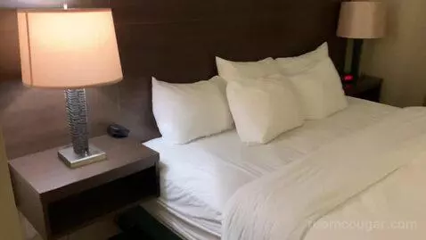 King Suite with Spa Bath (#116) bed picture #12