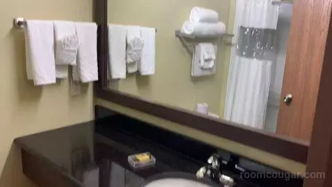 King Suite with Spa Bath (#116) bathroom picture #3