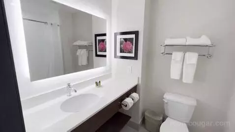 King Room (#229) bathroom picture #3
